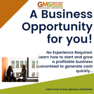 Are You Looking for a Side Business Opportunity?